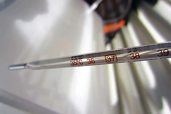 水銀溫度計(jì) 水銀溫度計(jì)